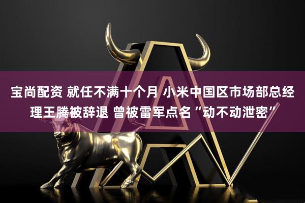 宝尚配资 就任不满十个月 小米中国区市场部总经理王腾被辞退 曾被雷军点名“动不动泄密”
