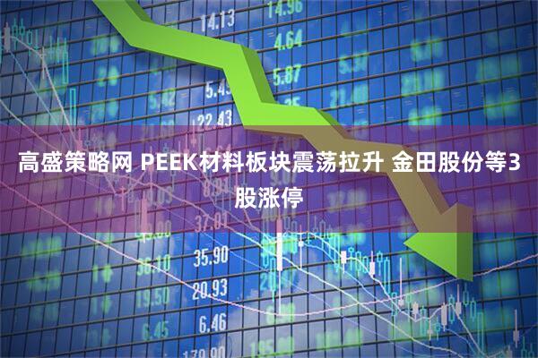 高盛策略网 PEEK材料板块震荡拉升 金田股份等3股涨停