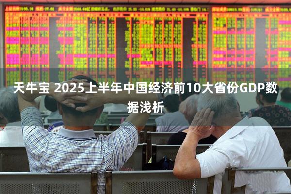 天牛宝 2025上半年中国经济前10大省份GDP数据浅析